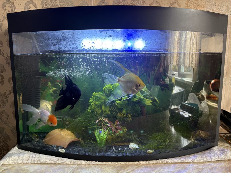 Продается аквариум