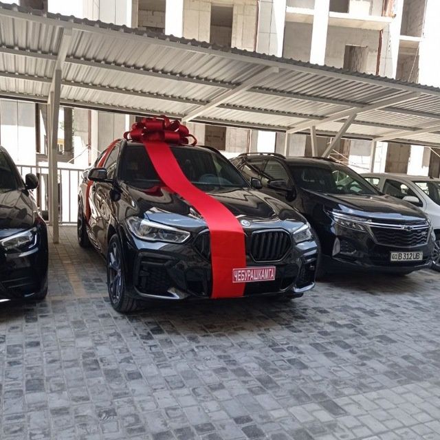 Bantik, lenta Avtobantik бант для машины Автабант лента