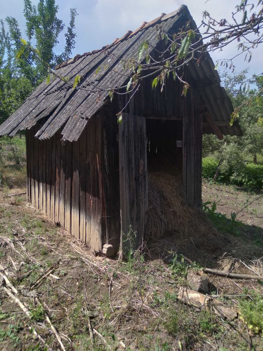 Magazie de lemne, baraca, adapost