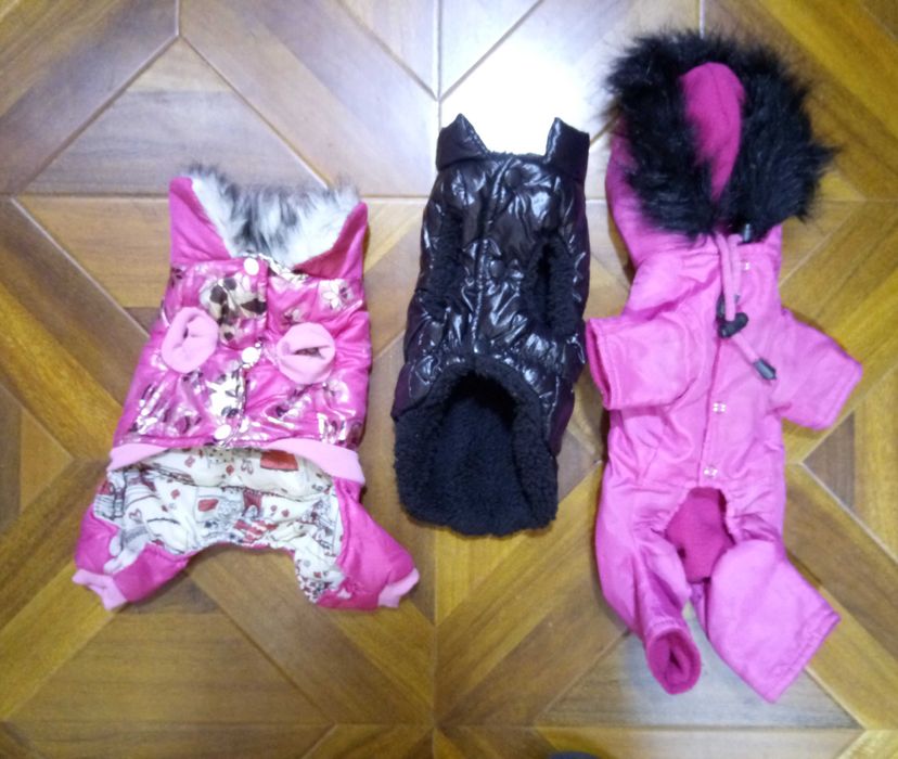 Hainute si accesorii caini si pisici