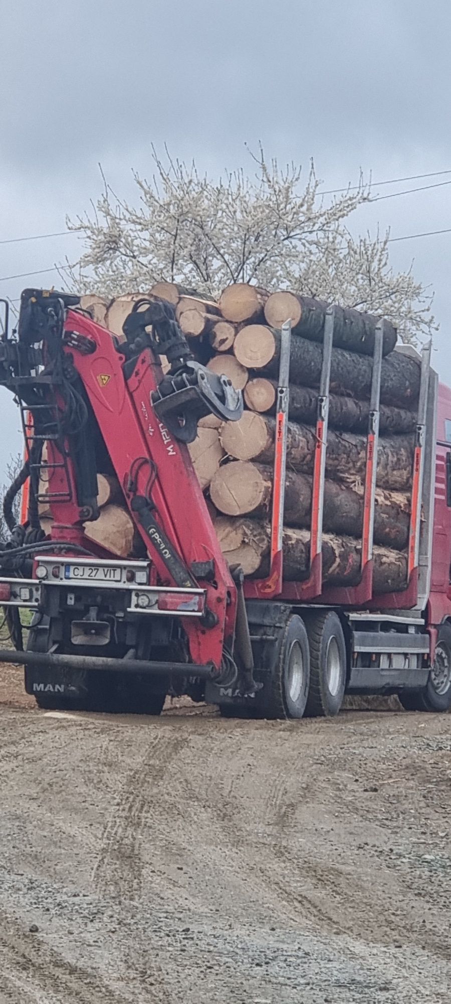 Vând cherestea rășinoase pt construcții și tâmplărie