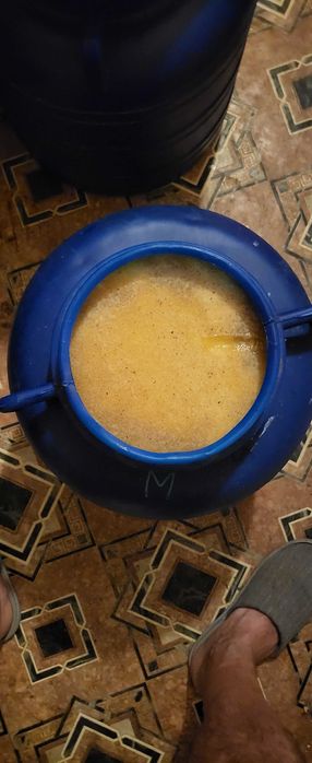 Vand miere poliflora