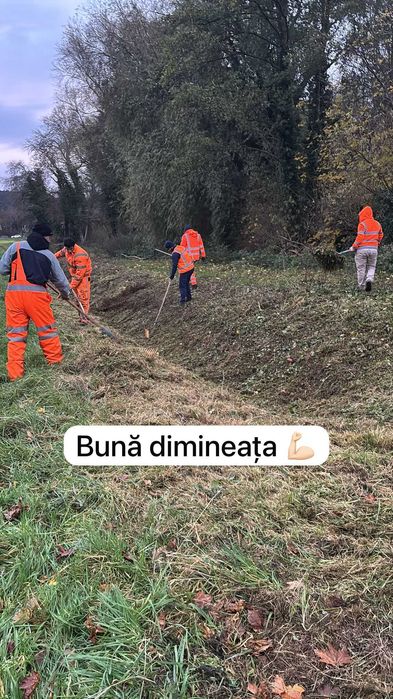 Oferim servici  Profesionale in mai multe domenii