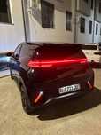 Byd sigul seagull segull 2024yil 405km lik
