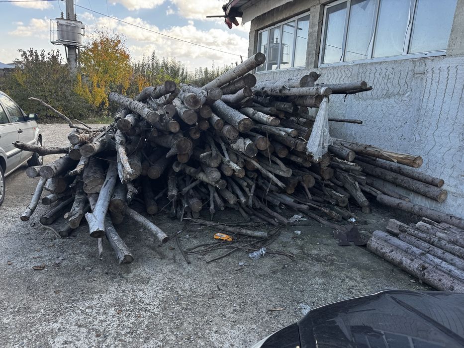 Lemn diverse esente 11 metri cubi -Botosani-usor negociabil