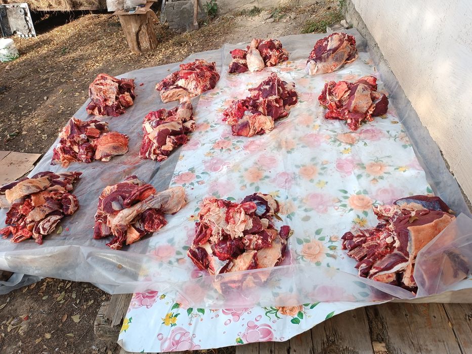 Жиликиеме ее сатылады 2800 тг