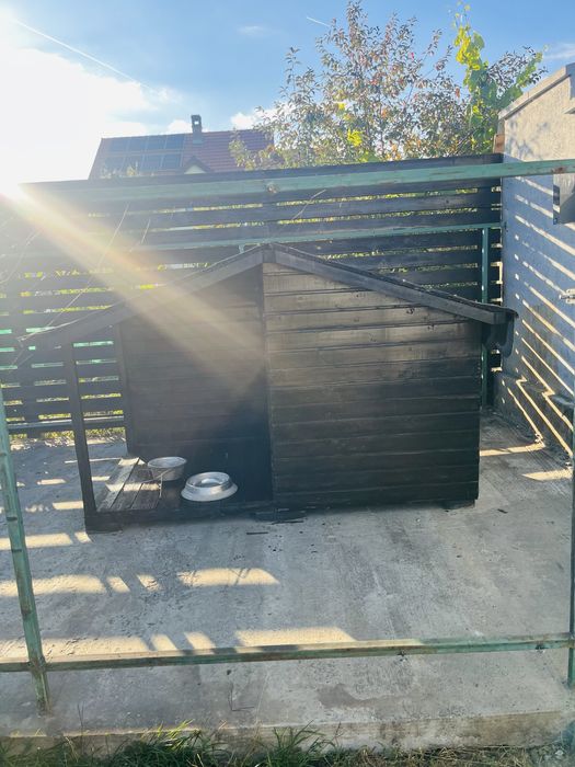 Cusca animale/ caine din lemn wenge superba