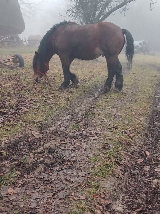 Vand ce se vede mai multe detali la telefon