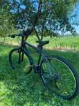Bicicletă Cross Bergamont Helix 5.2 - aluminiu