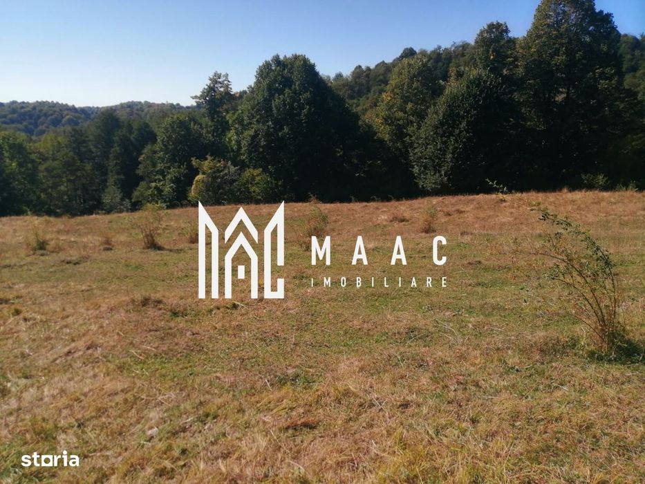 Teren Extravilan 20.000Mp I Stoenești -Vâlcea I Apă Curentă și Pădure