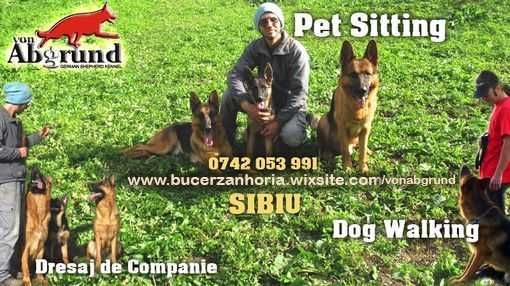 Kennel von Abgrund - Pet Sitting - Cazare