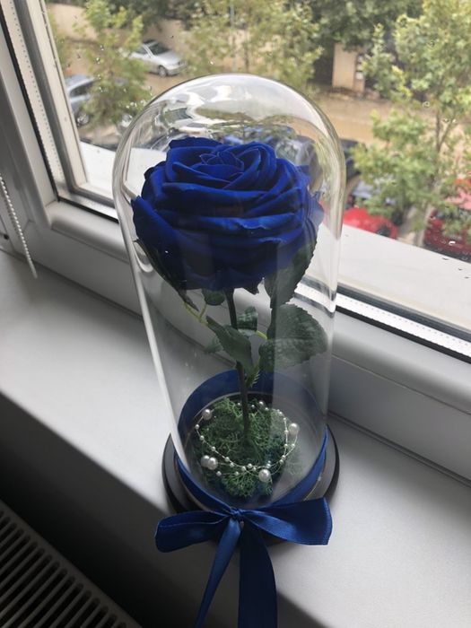 Cupola cu trandafir criongenat albastru inperial