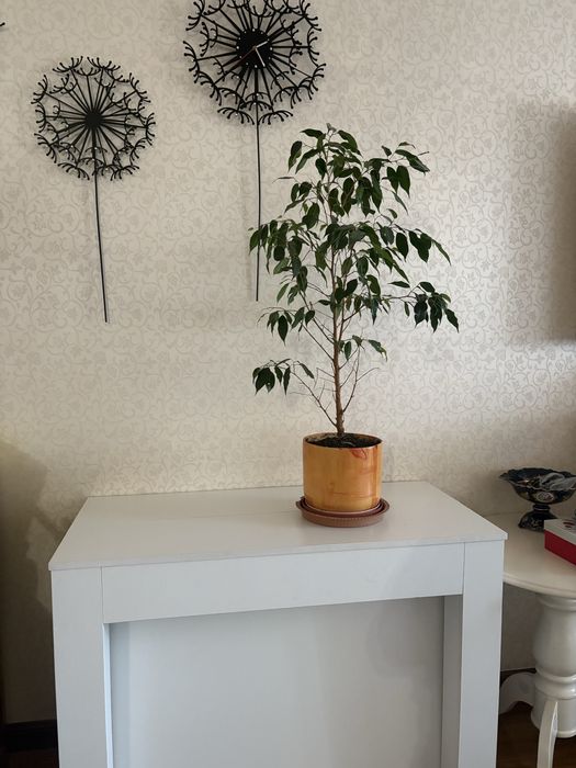 Стол трансформер