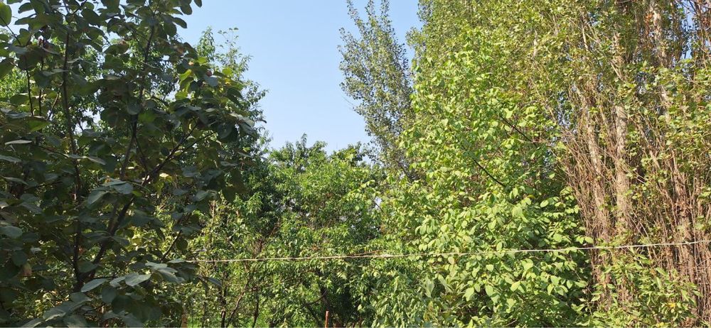 Toshkent shaxar Mirobod max nur kuchasida jami 40.08 yer maydoni