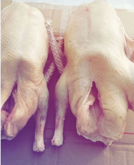 Гуси Петропавловские