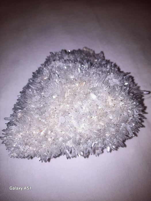 Flori de Mină, mari și mici