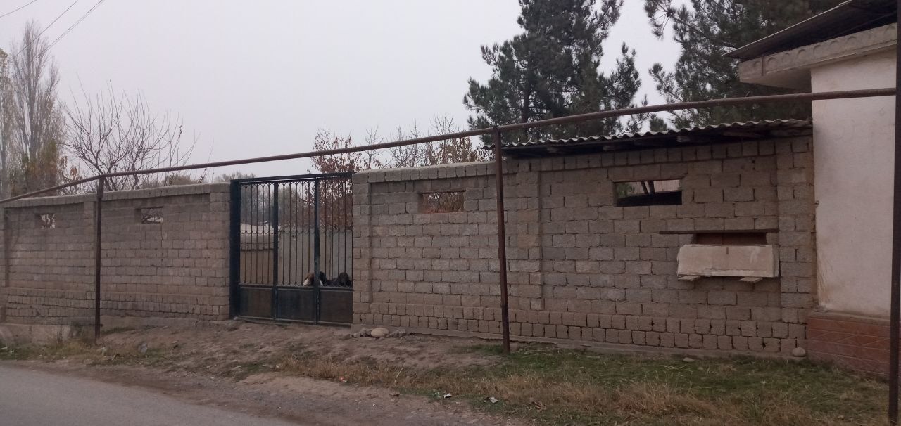 Тошкент вилояти Тошкент тумани 5 сотих хонадон  сотилади