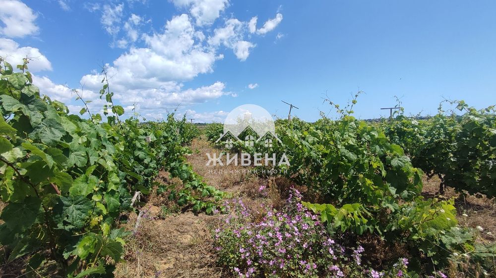 Продава се Парцел в Варна, м-т Боровец - юг - 2925 кв.м за 6 €/кв.м - Снимка #7