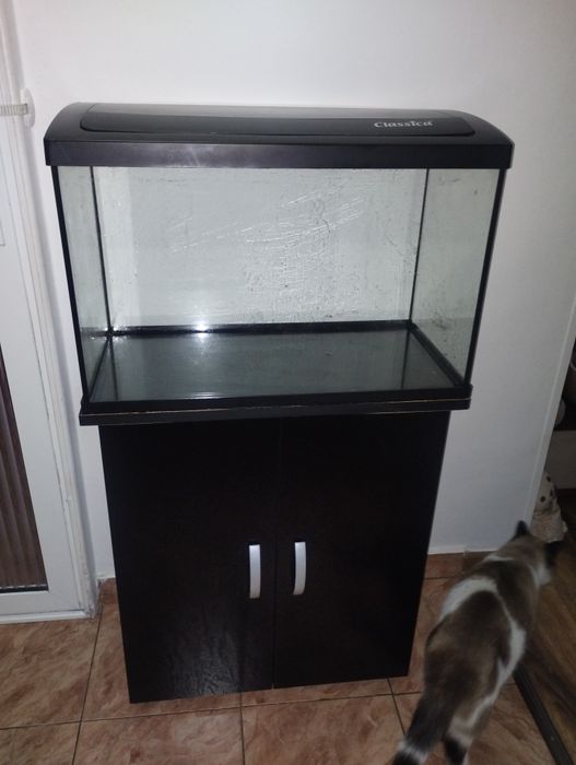 Acvariu cu masa de vânzare