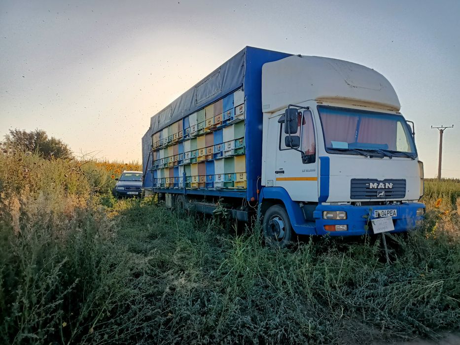 Vand camion Man LE 12.220 apicol