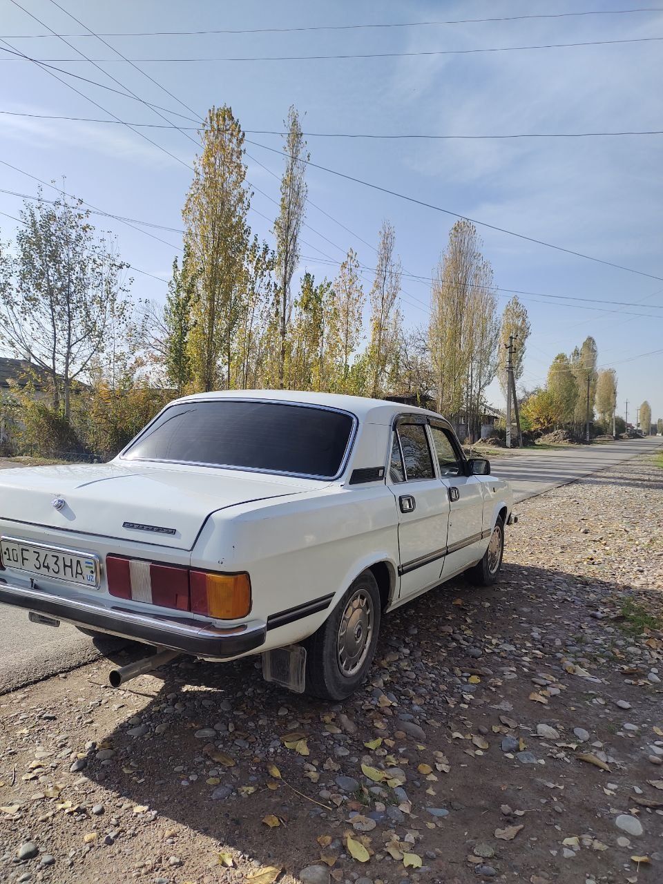 Gaz   Volga 3102