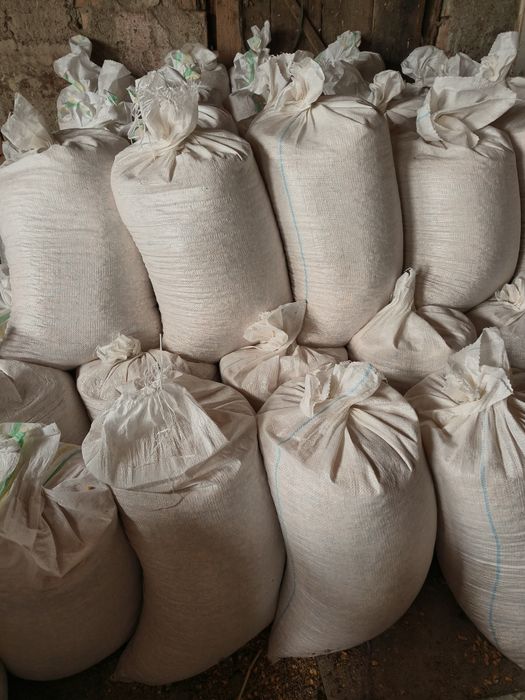 Faina uruiala din grau și porumb