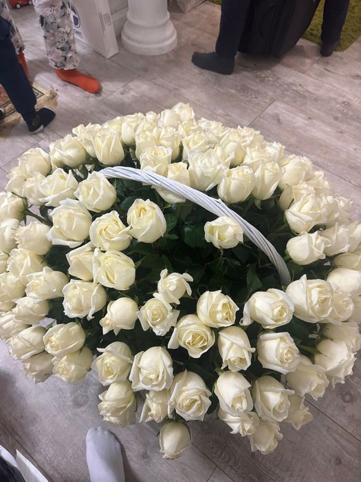 Продам цветы белые розы