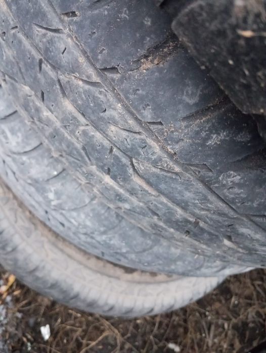 продам летнюю резину