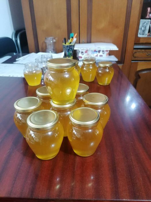 miere de albine naturala tei, poliflora, floarea soarelui