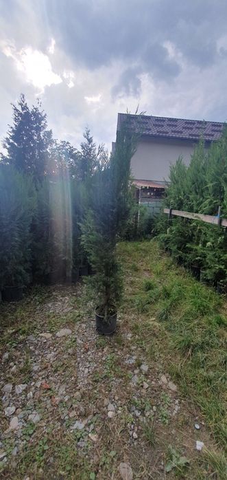 totul pentru gradina dvs