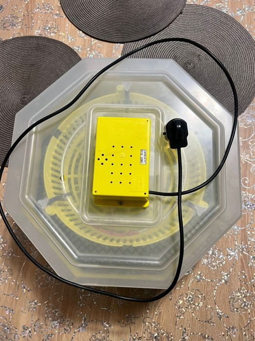 Incubator ouă electric