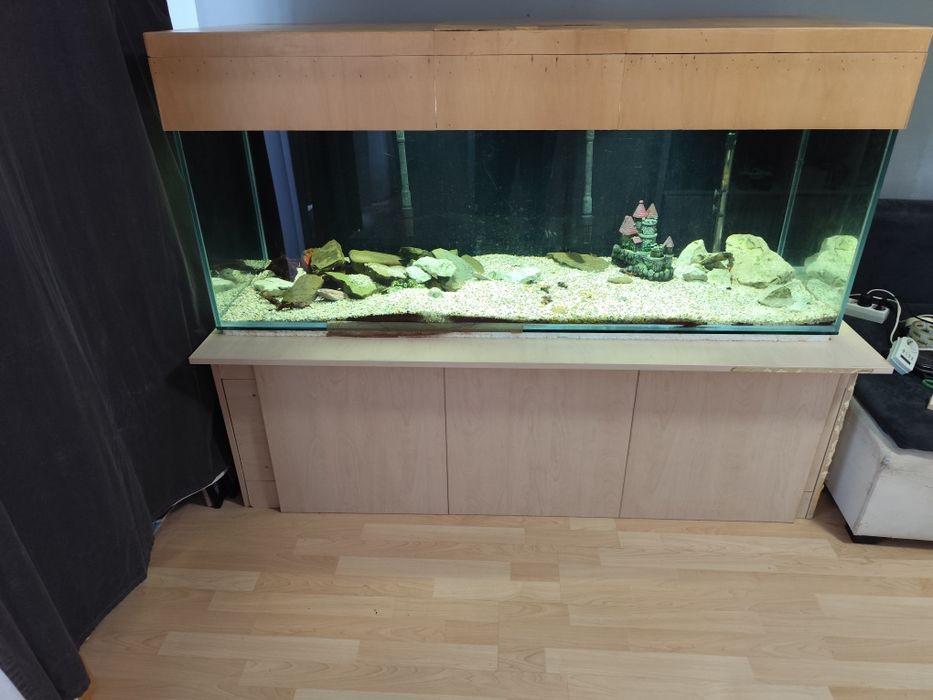 acvariu 500l 160x60x60