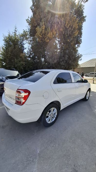 Kobalt 2024 srochna metan gaz tozza