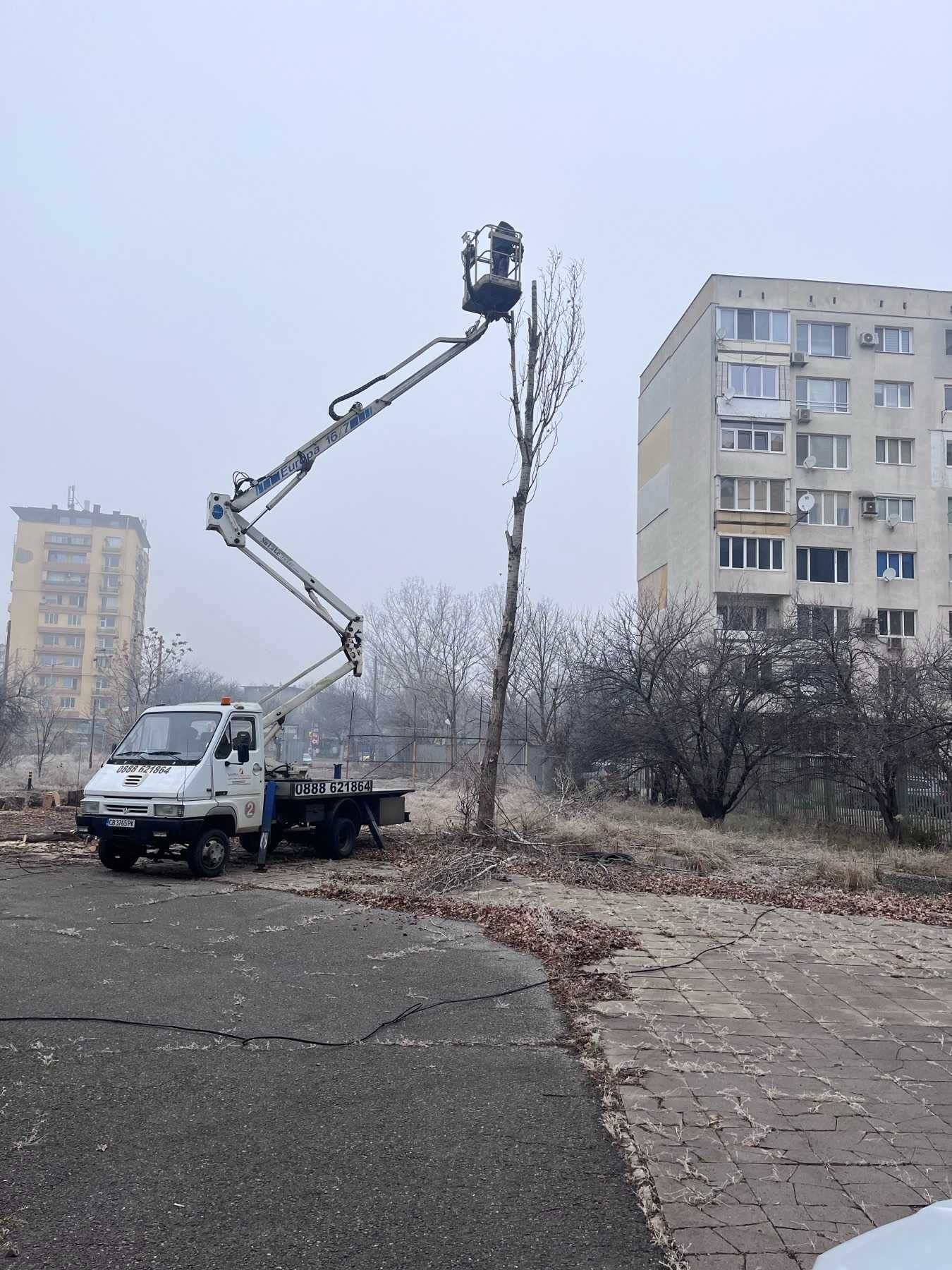 Услуга косене/кастрене/рязане опасни дървета