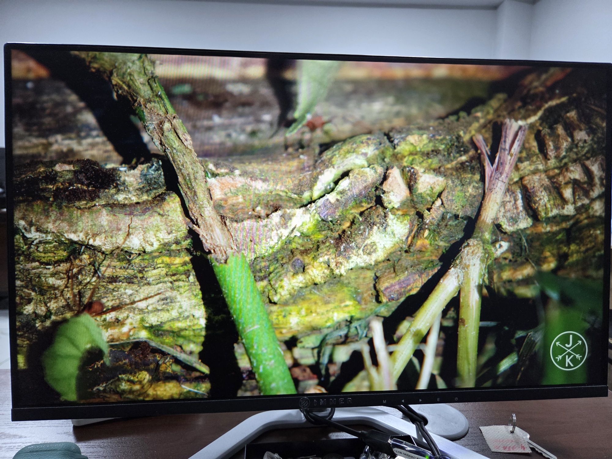 Immer 24 Monitor