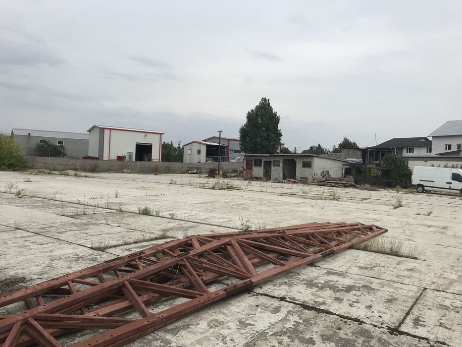 Stradal pe Soseaua Alexandriei