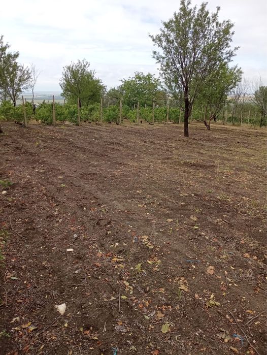 Teren senzațional cu vedere panoramica 360 altitudine 250 m