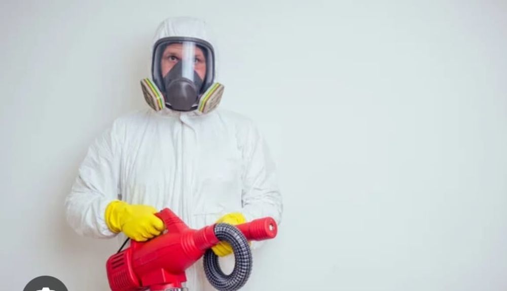 Дизенфекция дезенсекция дератизация помещение