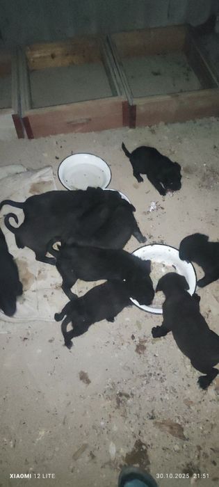 Дети ищут семьи!