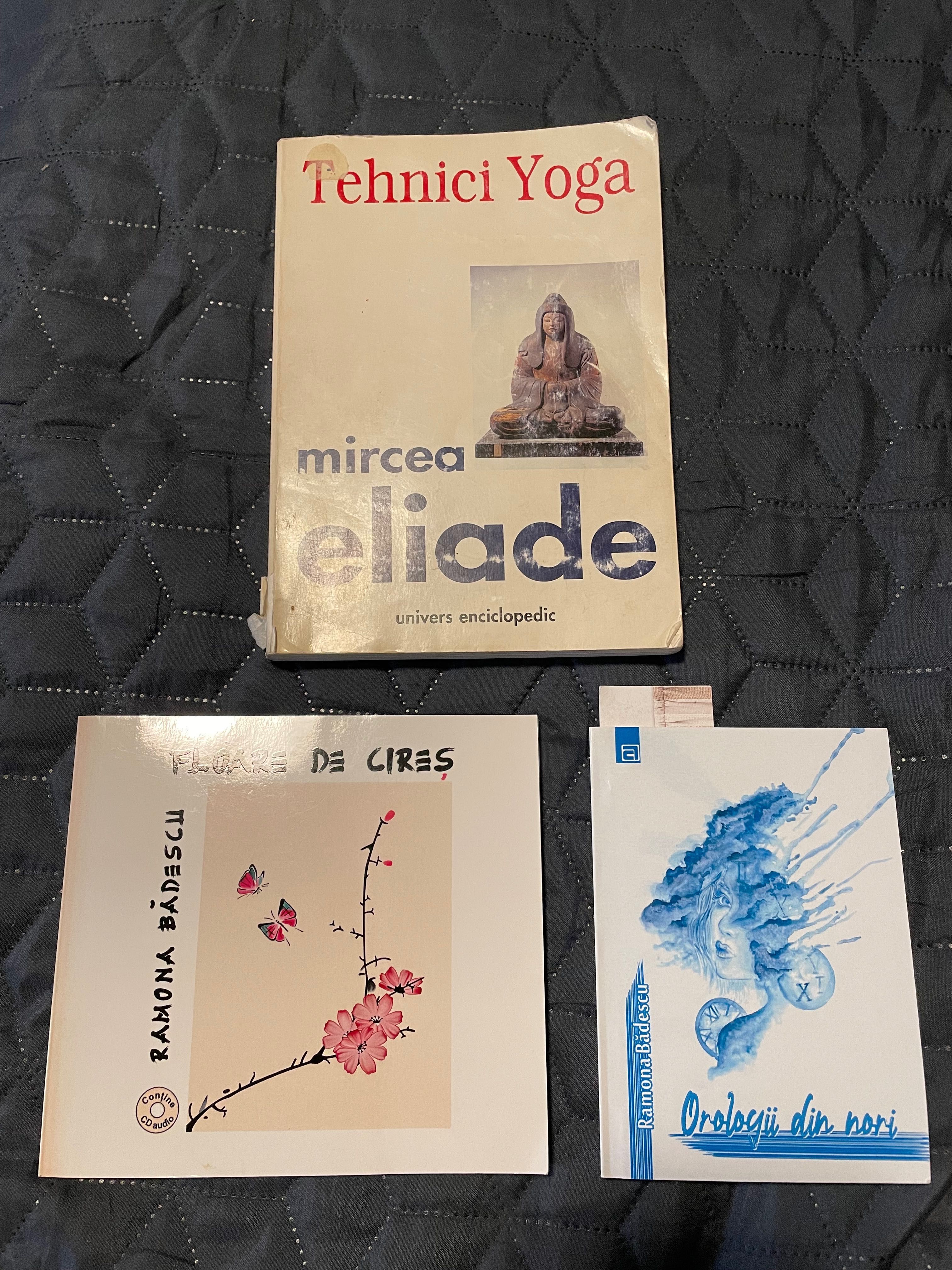 Tehnici Yoga de Mircea Eliade + 2 cărți de poezii japoneze haiku