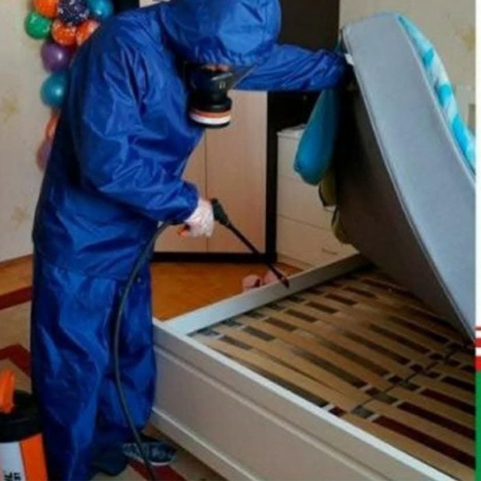 Услуги Дезинфекций