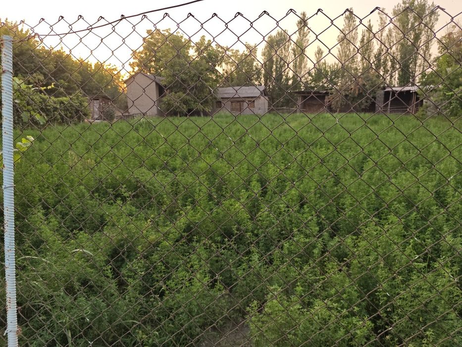 Уй сотилади, 28 сотук