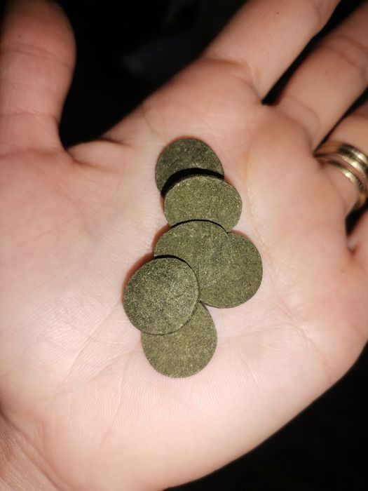 Tablete de spirulina pentru creveti ancistrusi etc.