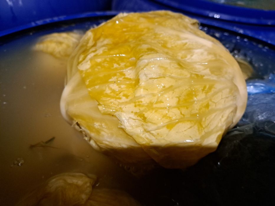 Varza murata plata beverly hills