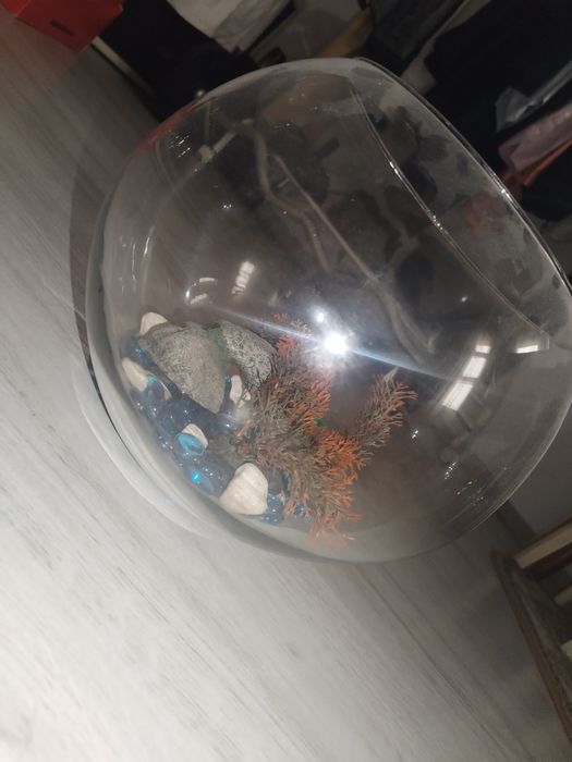 Acvariu pești beta cu accesorii.