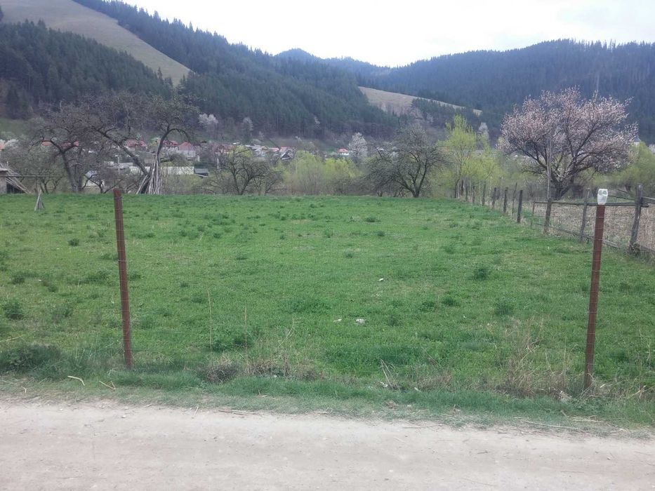 Teren in Savinesti, Poiana Teiului, Neamt