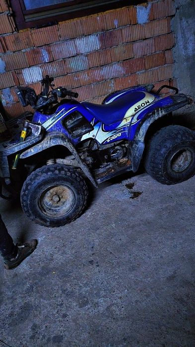 Vand atv aion cobra