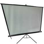 Ecran Profesional proiectie Trepied Projecta 185/185