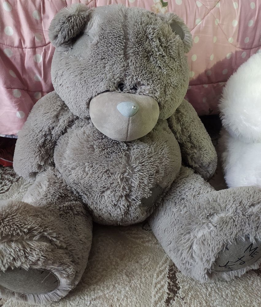 Teddy ayiq holati yengi