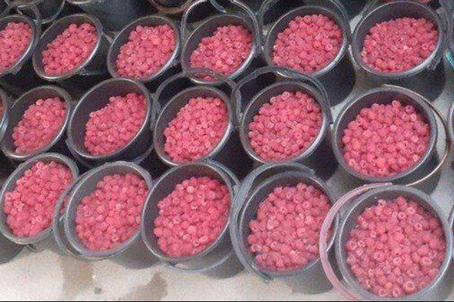 Малина кучат сотилади